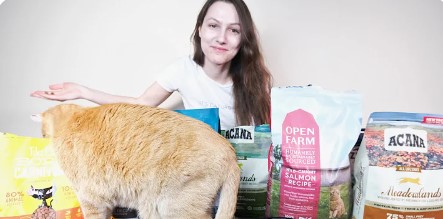 how to switch cat food brands