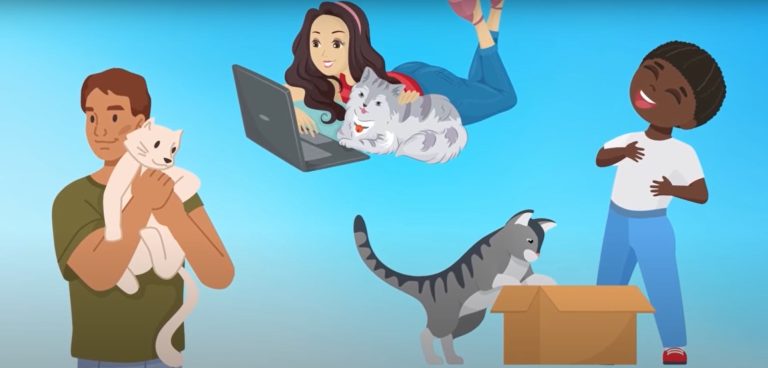 Are Cats Good for Mental Health? Explore the Truth